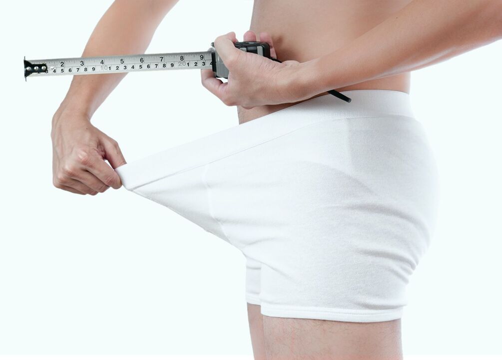 The growth of the penis